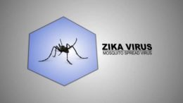 Zika virus causes microcephaly in mice
